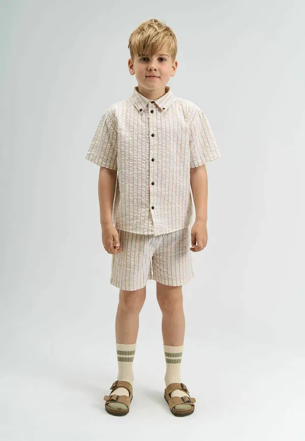 Рубашка хлопковая Smith The New, humus striped
