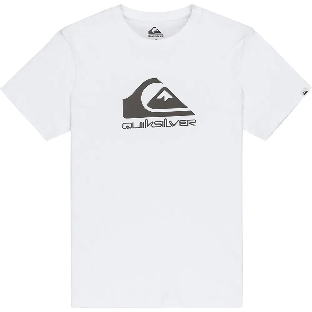 Детская футболка для мальчиков с принтом Ev Comp Logo Quiksilver, White
