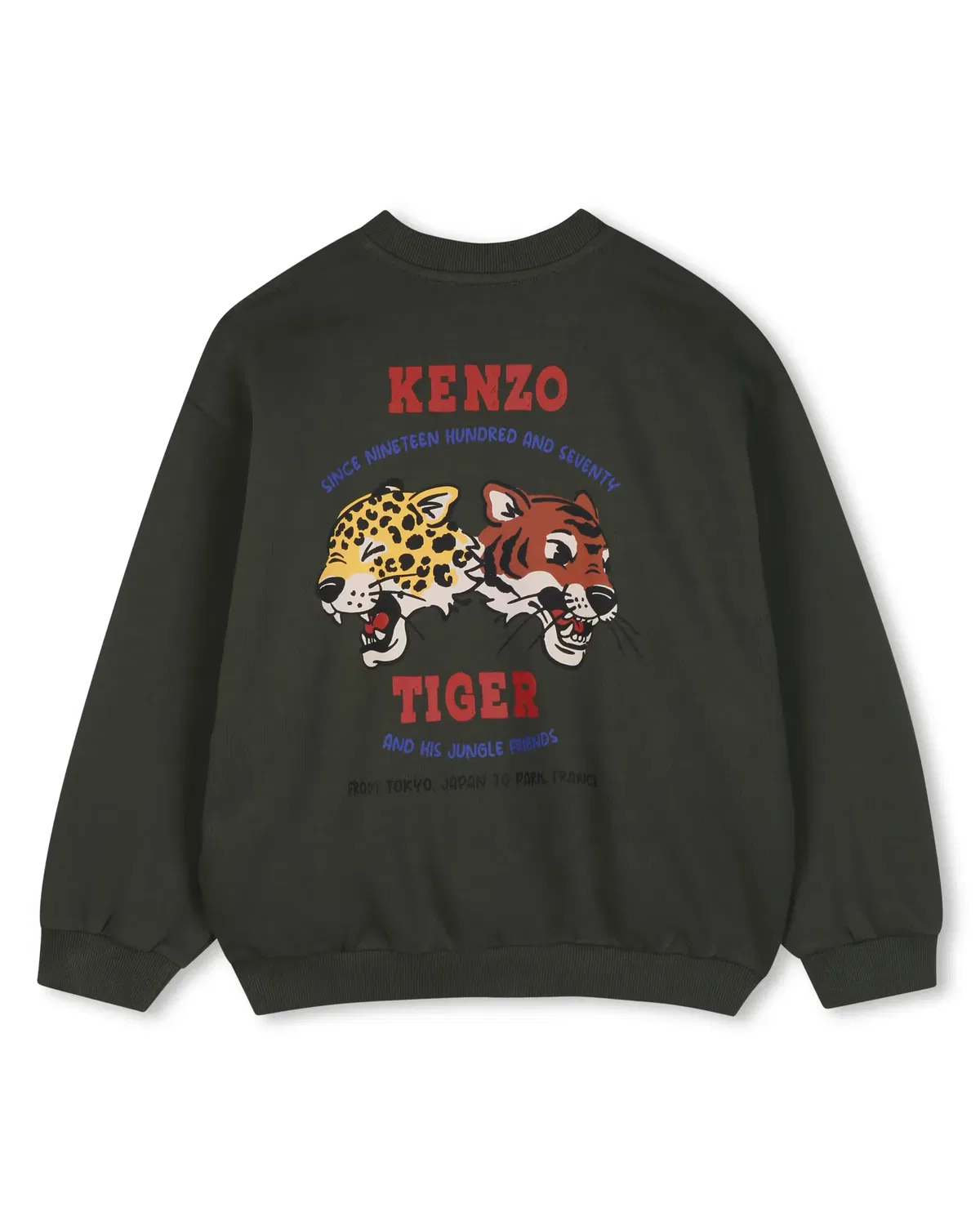 Детское худи для мальчиков с принтом Kenzo Kids, Verde — фото 3