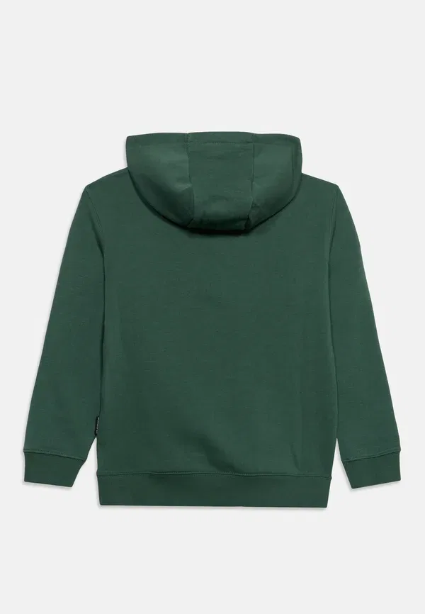 Худи из футера с капюшоном Basic hoodie unisex Quiksilver, Forest — фото 2