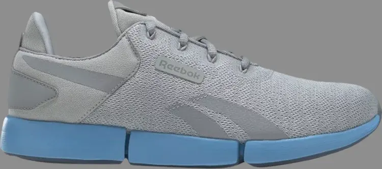 

Кроссовки dailyfit dmx 'pure grey essential blue' Reebok, серый