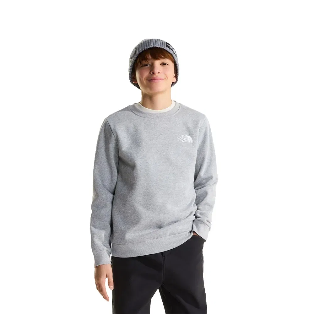 Детский свитшот для девочек с принтом Evolution Box NSE The north face, Grey