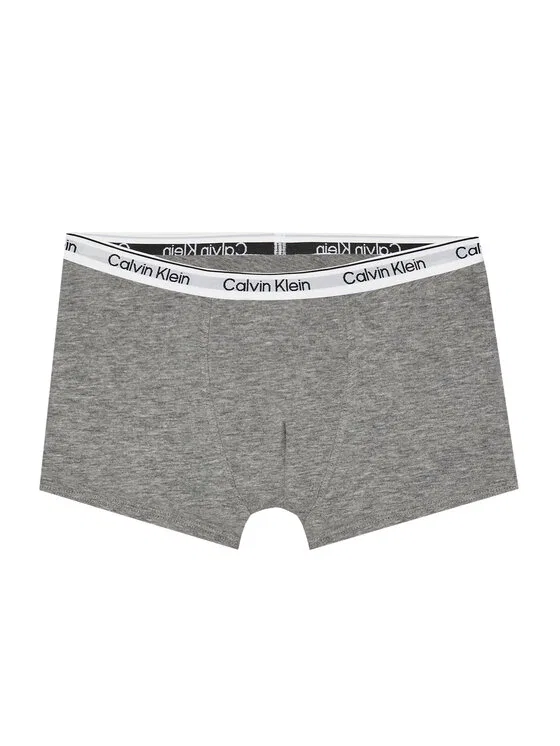 Комплект боксеров Calvin Klein Underwear, мультиколор — фото 4