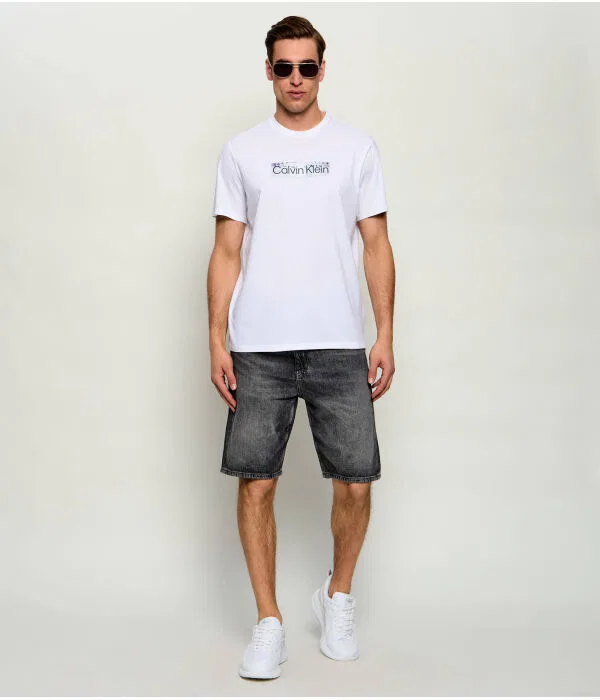 Мужская футболка хлопковая Regular Fit Calvin Klein, белый — фото 2