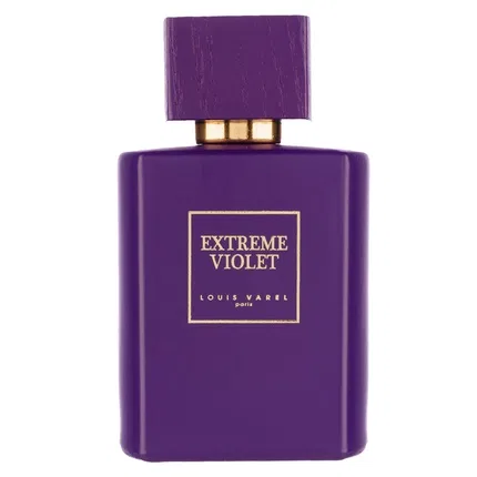 Парфюмерная вода Louis Varel Extreme Violet, 100 мл