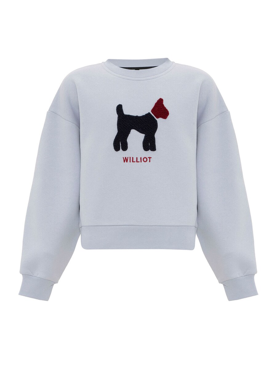 

Худи Williot Sweatshirt, светло-синий