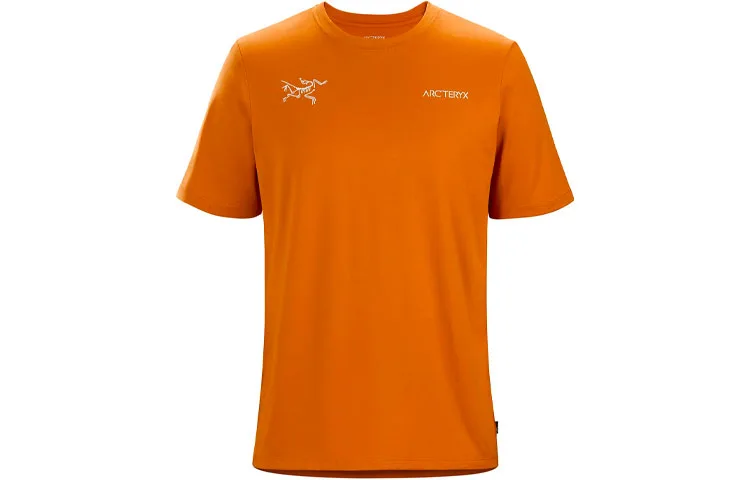 Мужская футболка с логотипом Split SS в ретро-стиле Arcteryx, Amber Brown/Ether Blue/Revel/Ether