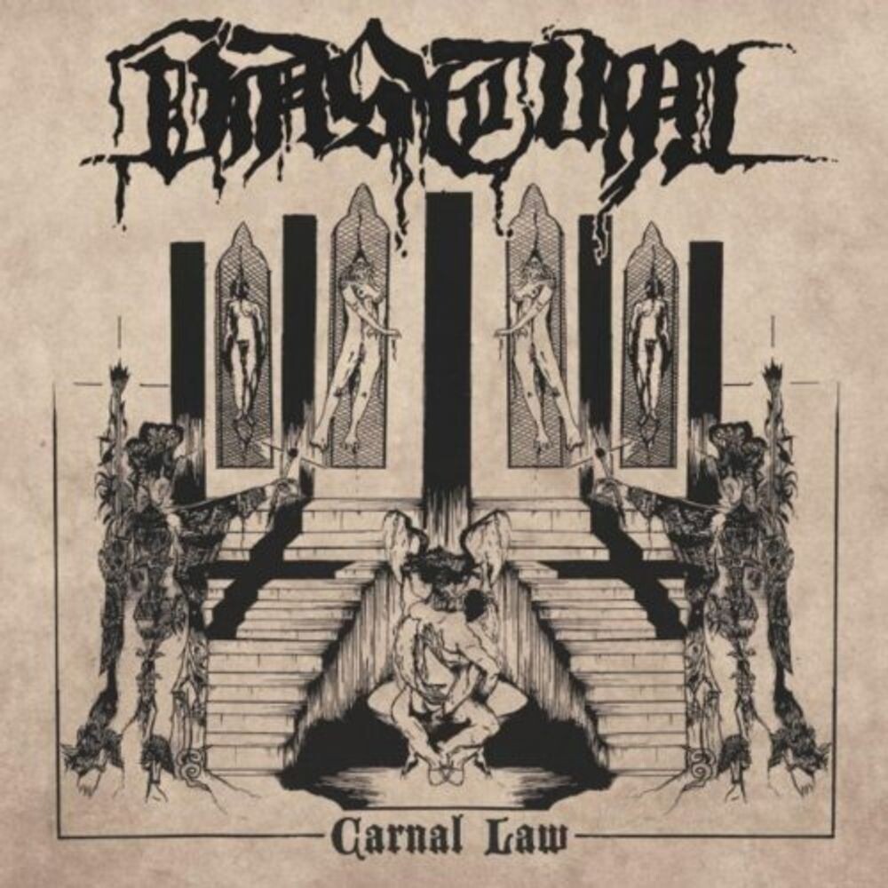 

Виниловая пластинка LP Carnal Law [Colored Vinyl] - Vastum