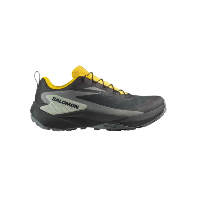 

Кроссовки для трейлраннинга SALOMON Genesis GORE-TEX - Black/Sedona Sage/Incaberry