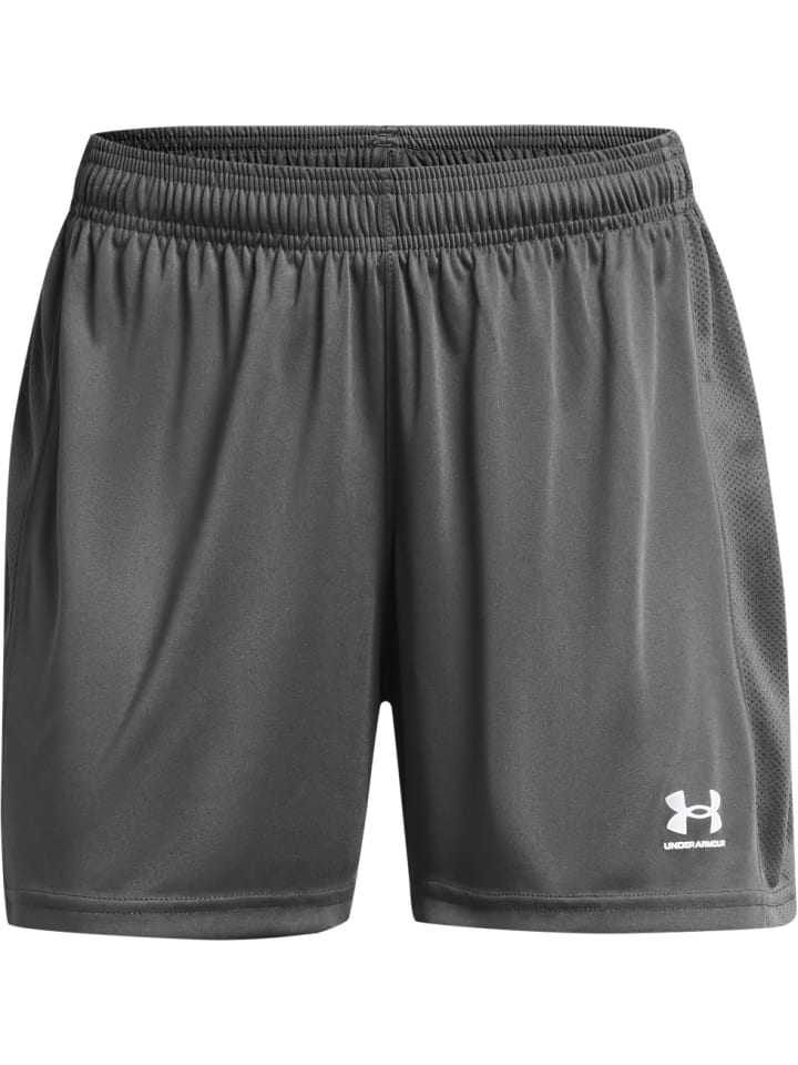 

Шорты Ua W'S Ch. Knit Short Under Armour, серый