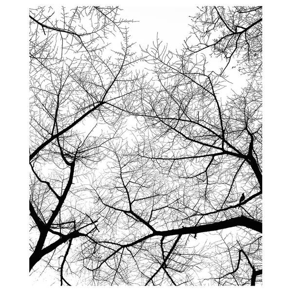 

Картина на холсте LegendArte Der Himmel im Winter, серый