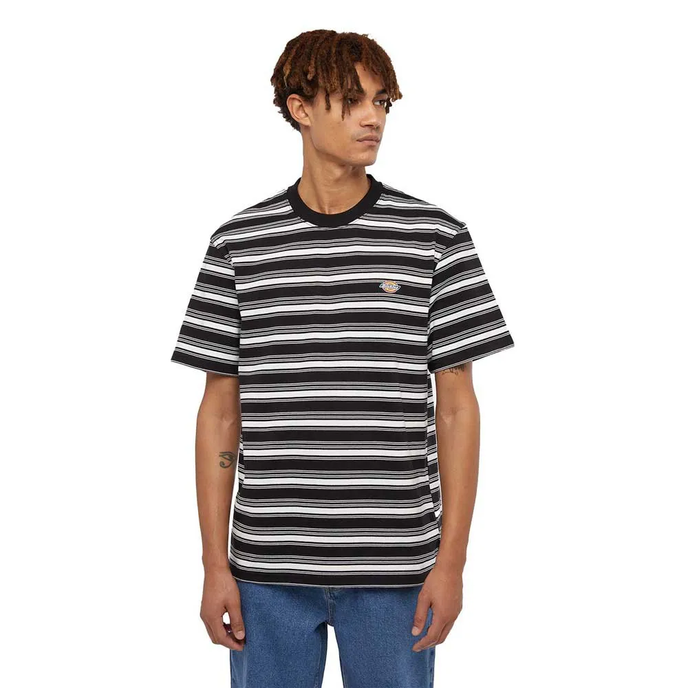 

Футболка Dickies Stevensville Stripe, разноцветный