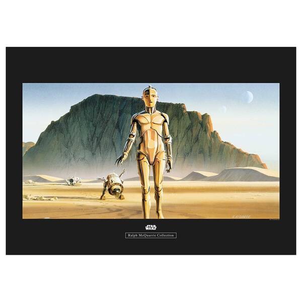 

Фреска Komar Star Wars Droids, разноцветный