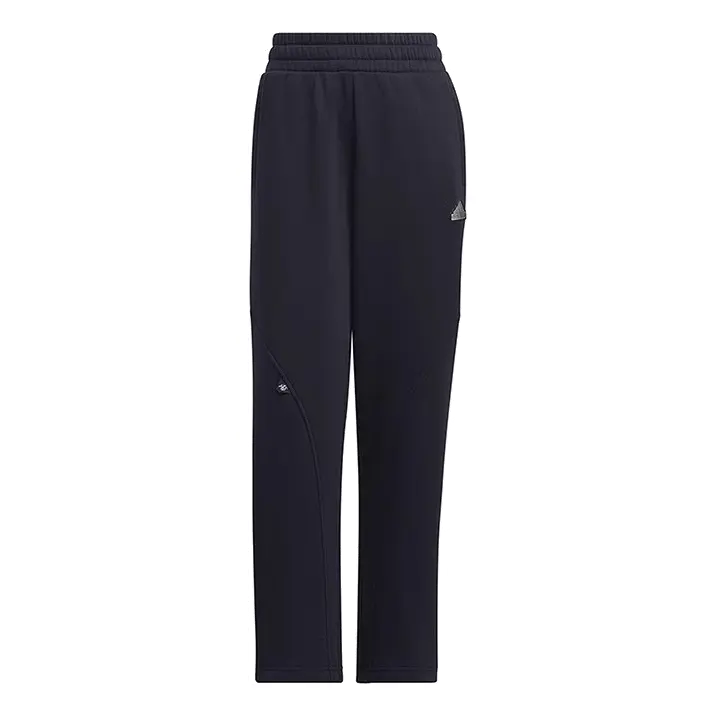 

Спортивные брюки (WMNS) adidas FW24 Small Logo Fleece Joggers 'Navy Silver', темно-синий
