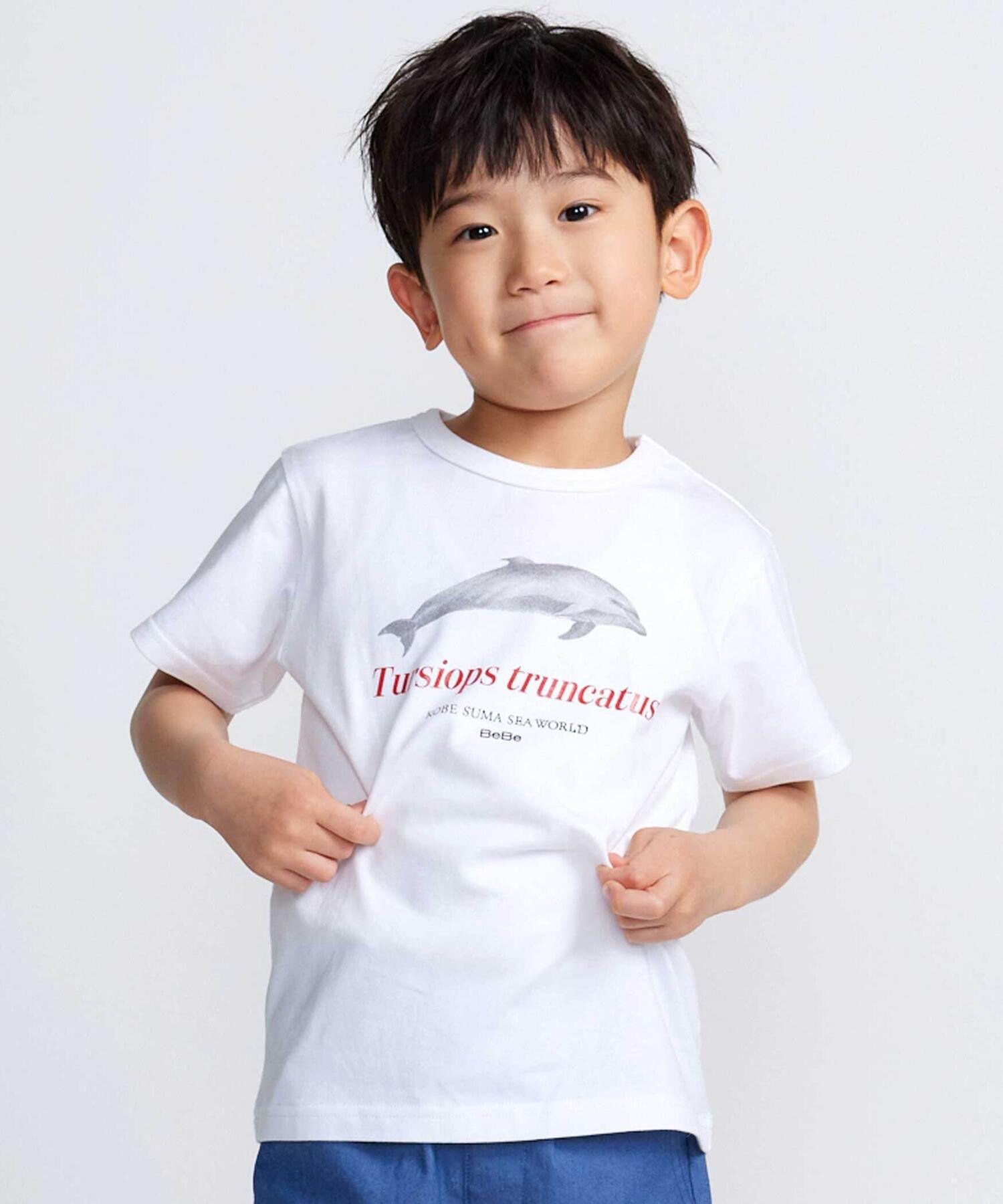 Футболка с коротким рукавом с изображением косатки и дельфина (80-140 см) BeBe, White