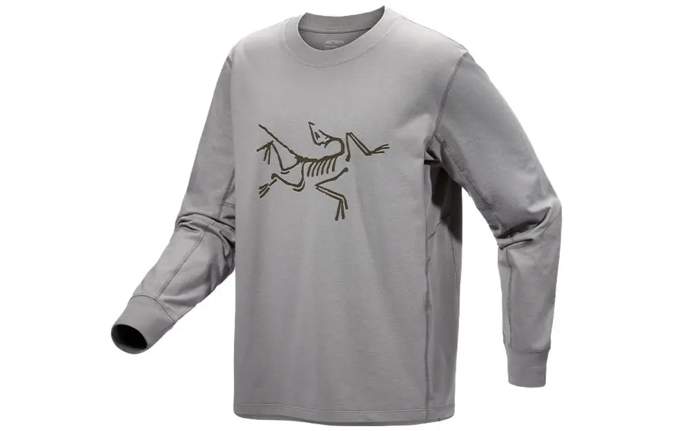 Футболка Envoy Archaeopteryx мужская Arcteryx, Полярный белый/Арктический шелк — фото 4