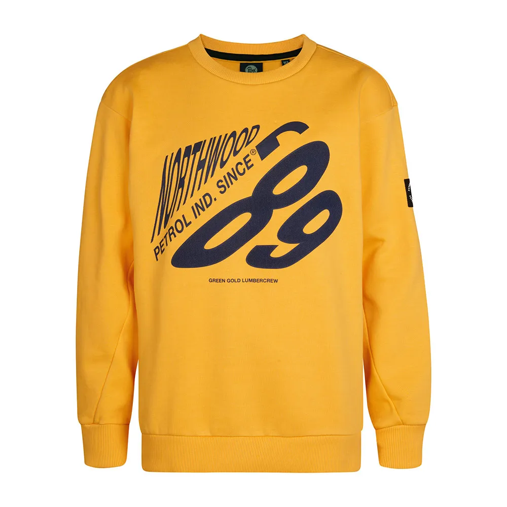 

Толстовка Petrol Industries B-3050-SWR355, желтый