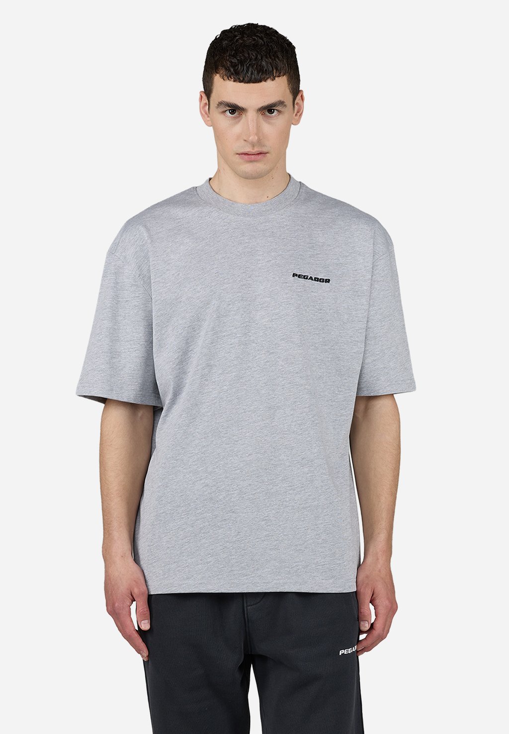 

Футболка с принтом LOGO TEE Pegador, серый
