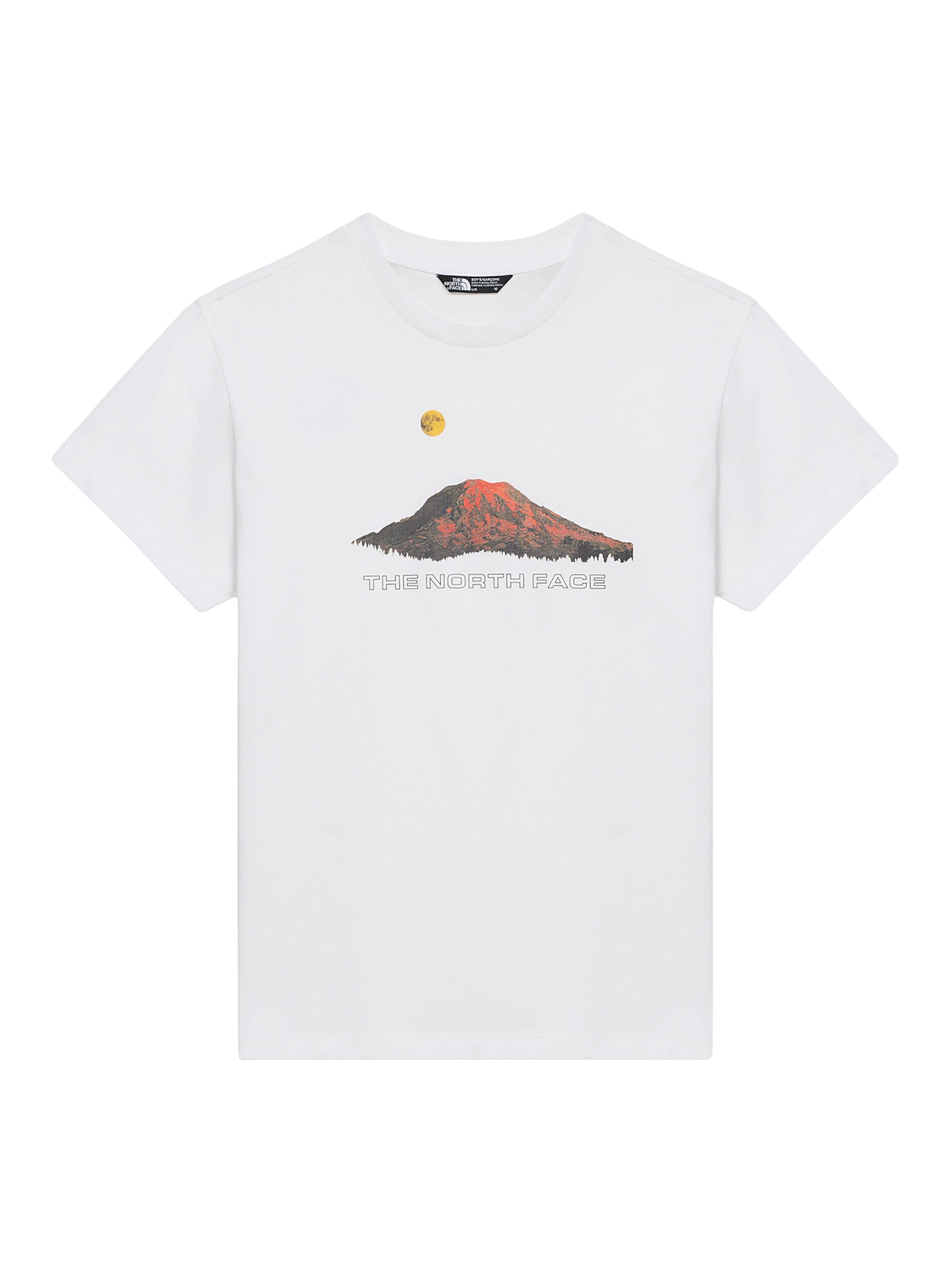 

THE NORTH FACE Футболка Performance 'MOUNTAIN NIGHT' в белом цвете
