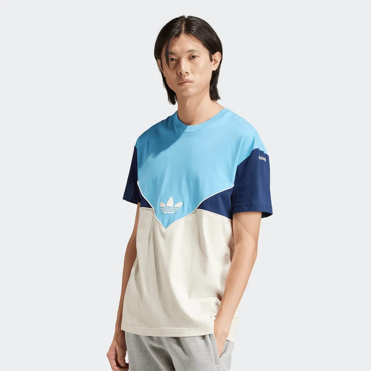 

Футболка adidas Originals adicolor Next T-Shirt, синий/серебристый/бежевый