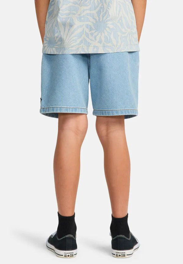 Спортивные шорты ларри Billabong, Dream Blue - Wash — фото 2