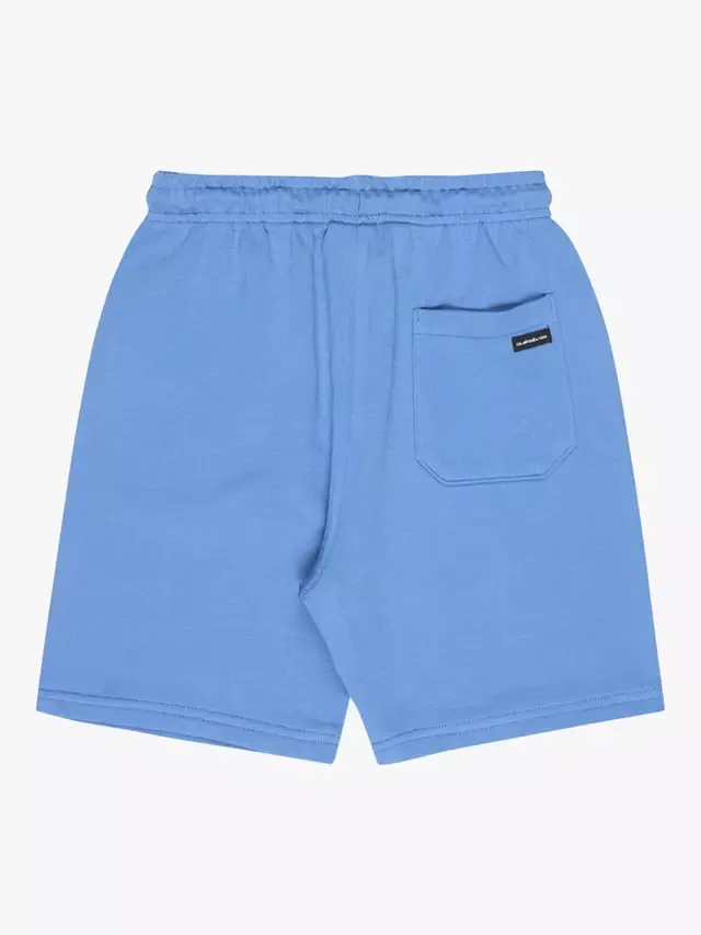 Детские спортивные шорты Quicksilver Easy Day на завязках, цвет Riviera Quiksilver — фото 2