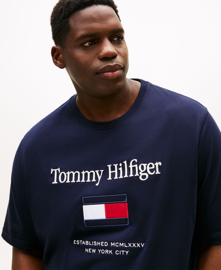 Мужская футболка больших размеров с вышитым флагом Tommy Hilfiger, Desert Sky — фото 3