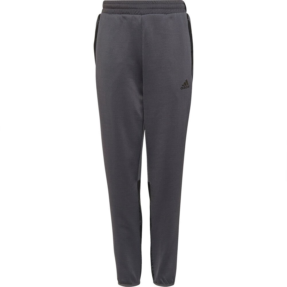

Брюки adidas Sportswear FTRE, серый