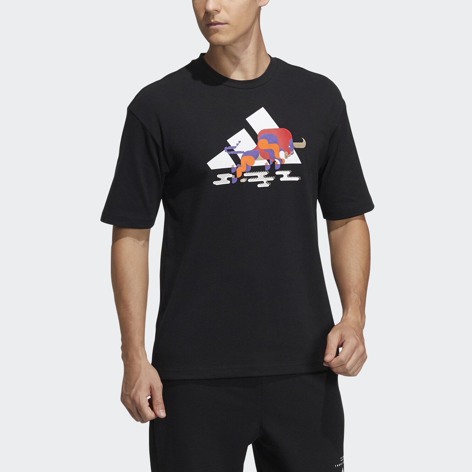 Футболка CNY Collection для мужчин, черная Adidas, черный — фото 2
