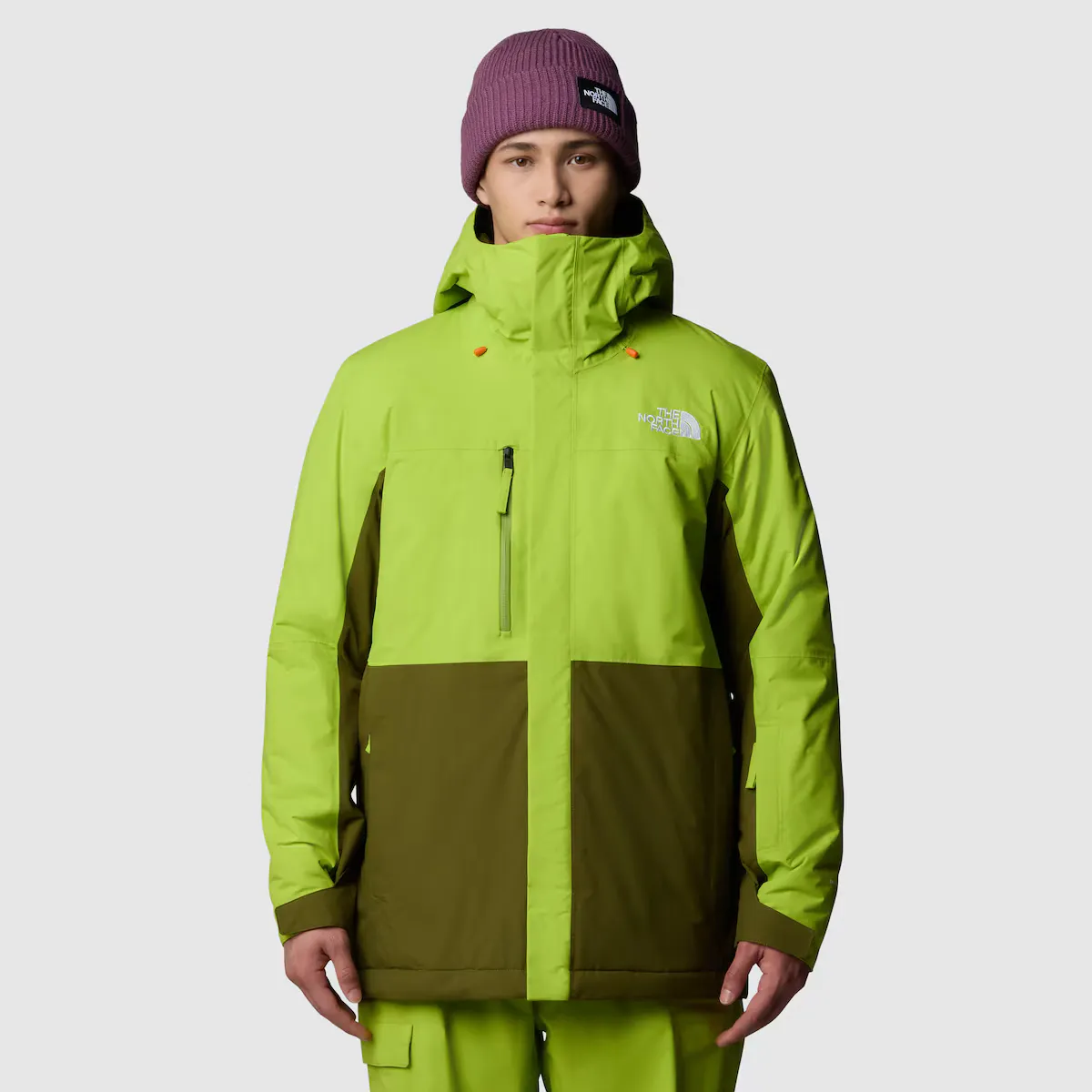 

Мужская лыжная и зимняя куртка Freedom The North Face, зеленый