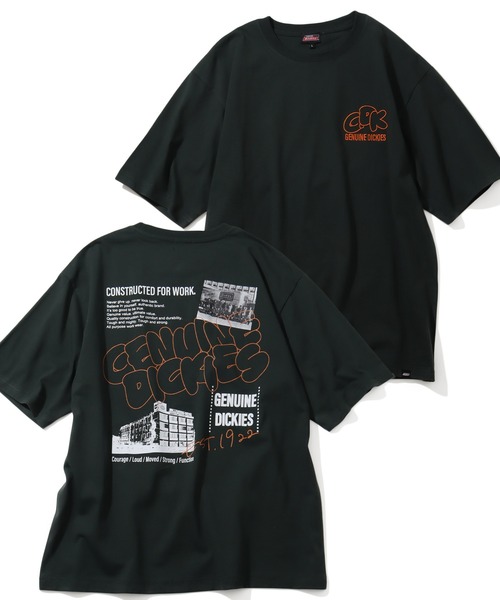 

Футболка с вышивкой и принтом, свободного кроя Dickies, зеленый