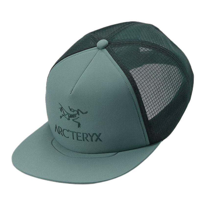 

Arcteryx Бейсболка из полиэстера унисекс синего цвета