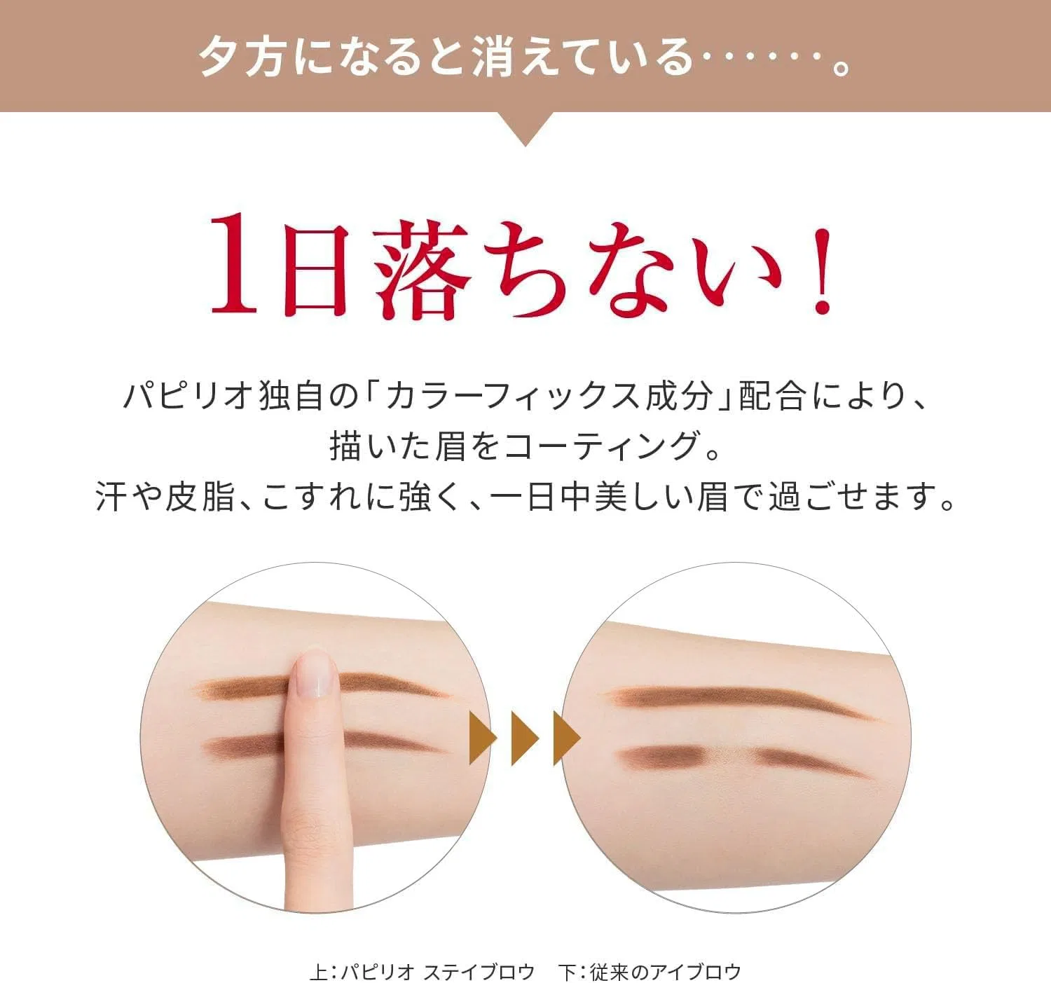 Тушь для бровей Papilio Stay Brow G, угольно-коричневый, основной блок + 2 сменных блока