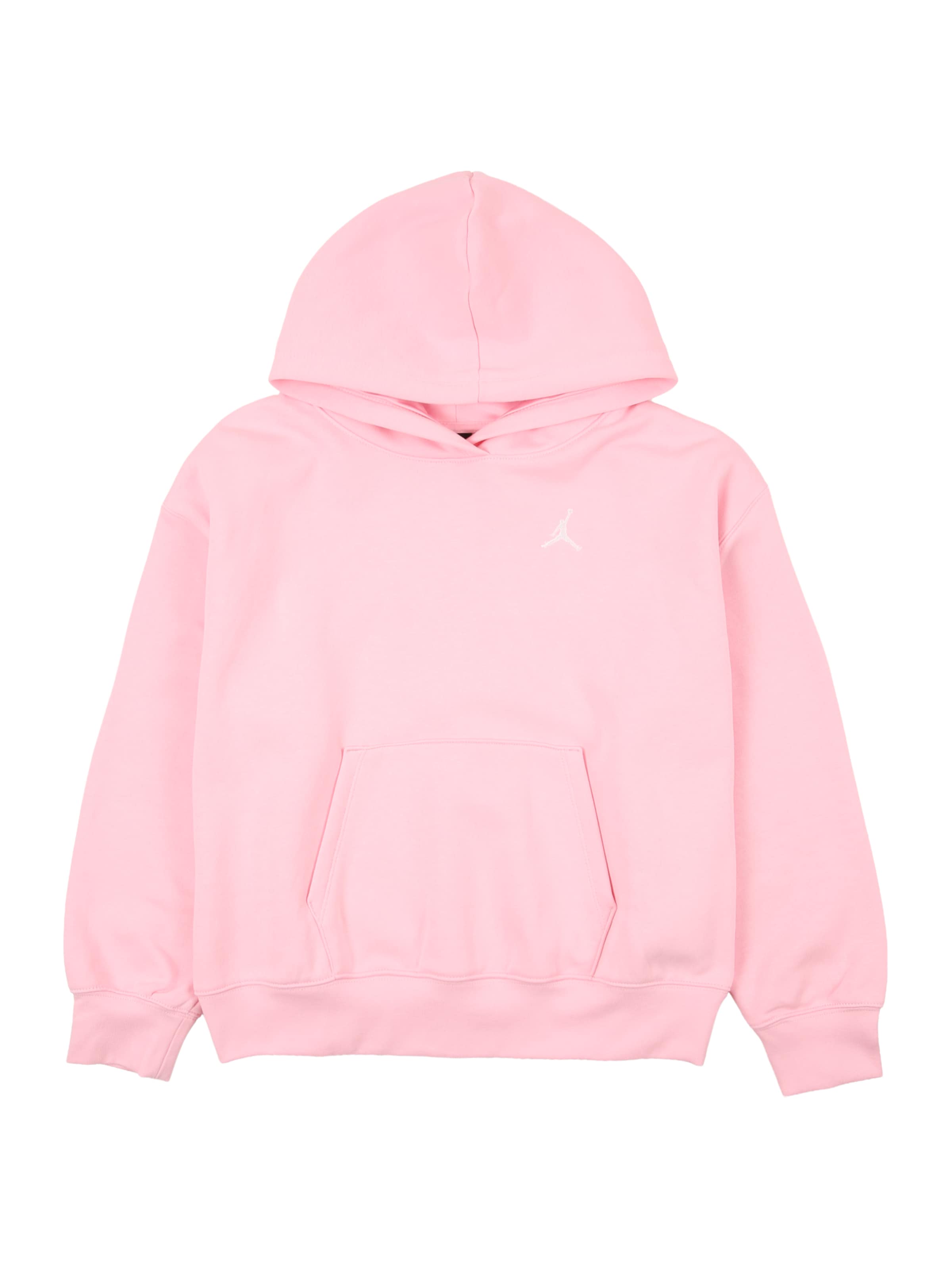 

Jordan Толстовка 'BRKN FLC' в цвете Rose