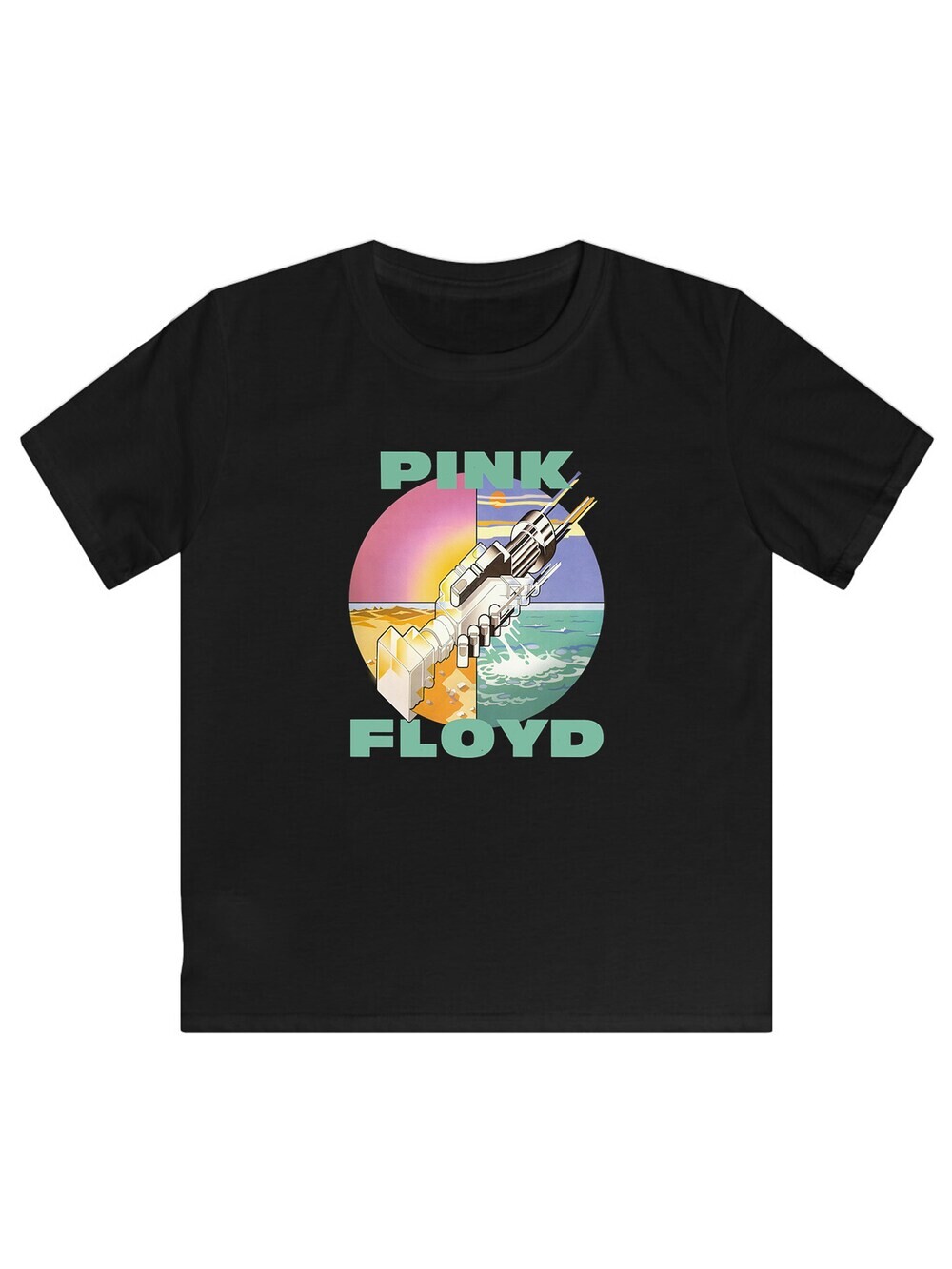 

Футболка F4Nt4Stic Pink Floyd Wish You Were Here, черный