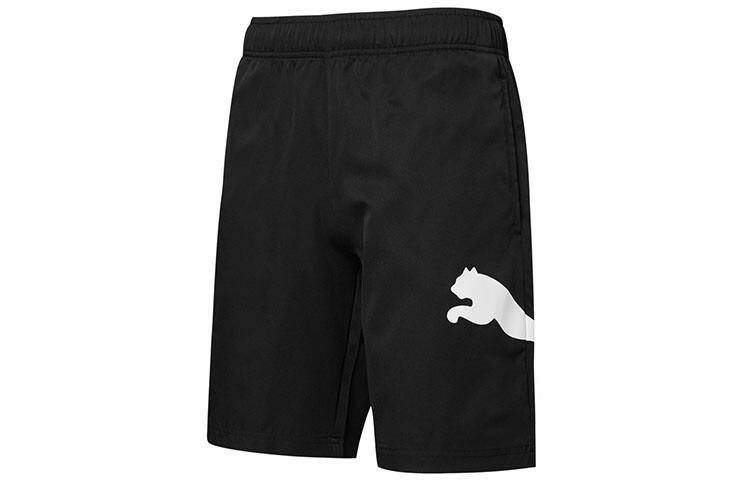 

Мужские повседневные шорты Puma, цвет Black