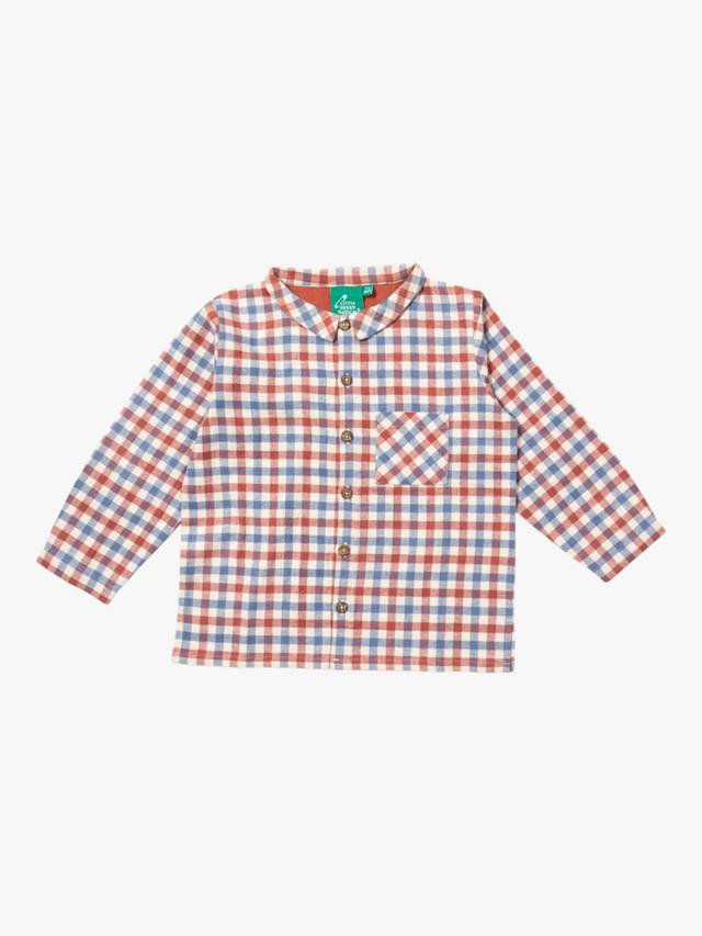 

Детская рубашка с длинным рукавом из органического хлопка в клетку Little Green Radicals