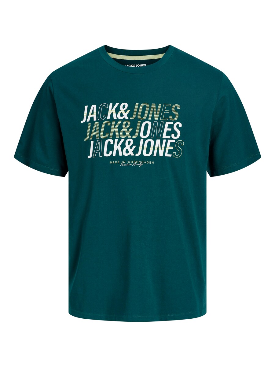 

Рубашка JACK & JONES JJNEWDELVIN, цвет Light green/Dark green