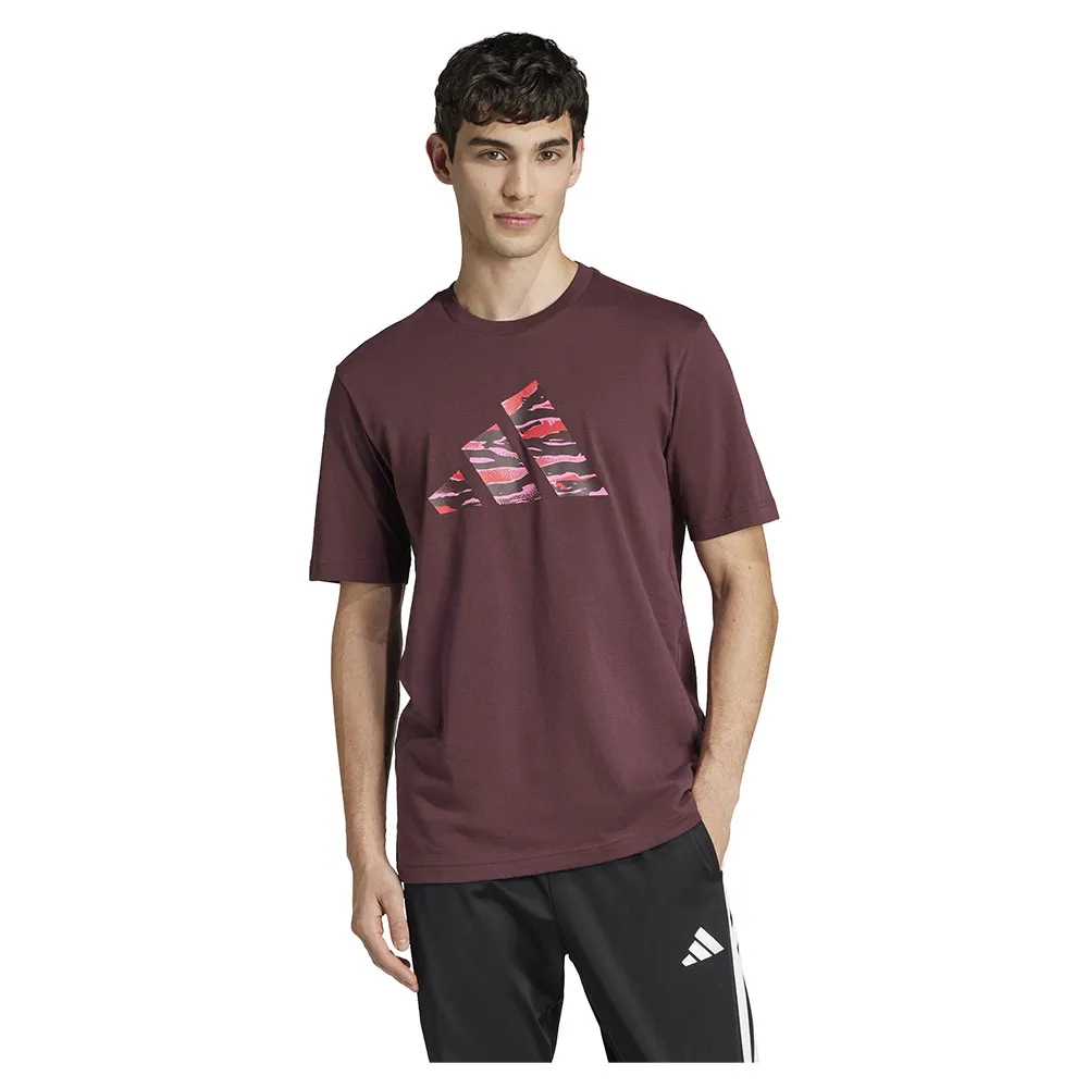 

Футболка с коротким рукавом adidas Codes Camo Graphic, фиолетовый