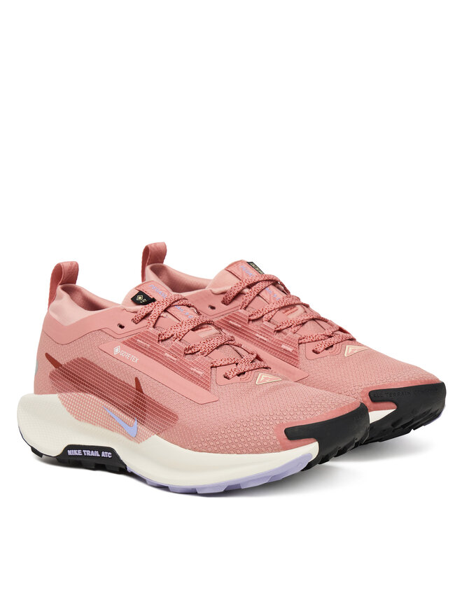 Беговые кроссовки W Pegasus Trail 5 Gtx GORE-TEX FQ0912 602 Nike, розовый — фото 2