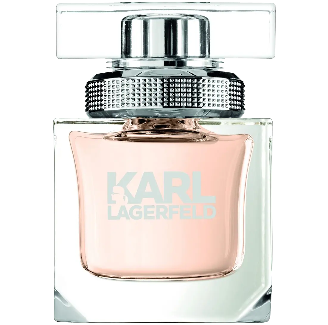 

Женская парфюмированная вода Karl Lagerfeld Women, 45 мл
