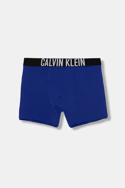 Боксеры хлопковые с эластаном 2 шт Calvin Klein Underwear, синий — фото 3