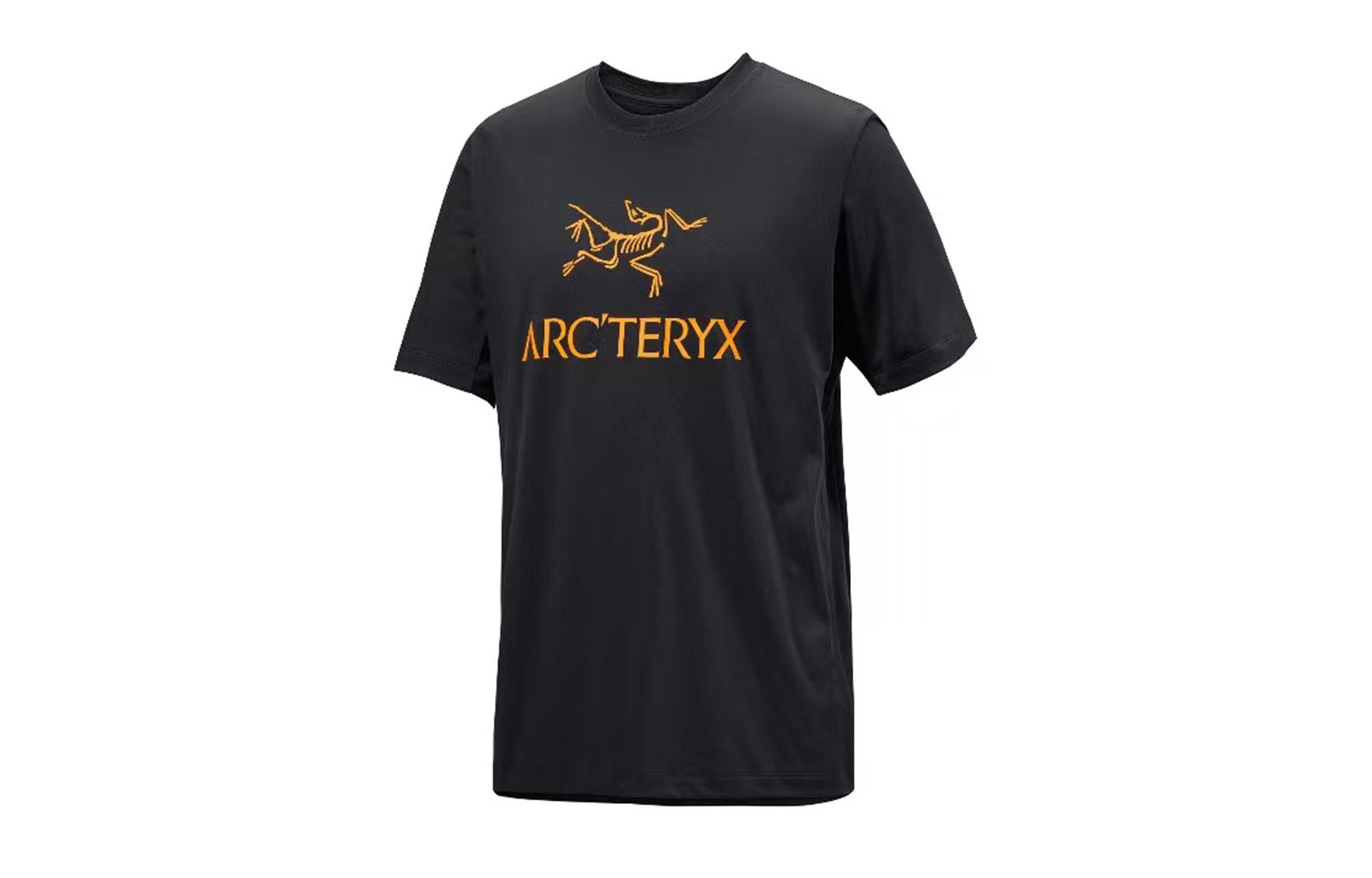 Футболка мужская черно-коричневая Arcteryx, Black Ll/Black Ll — фото 4