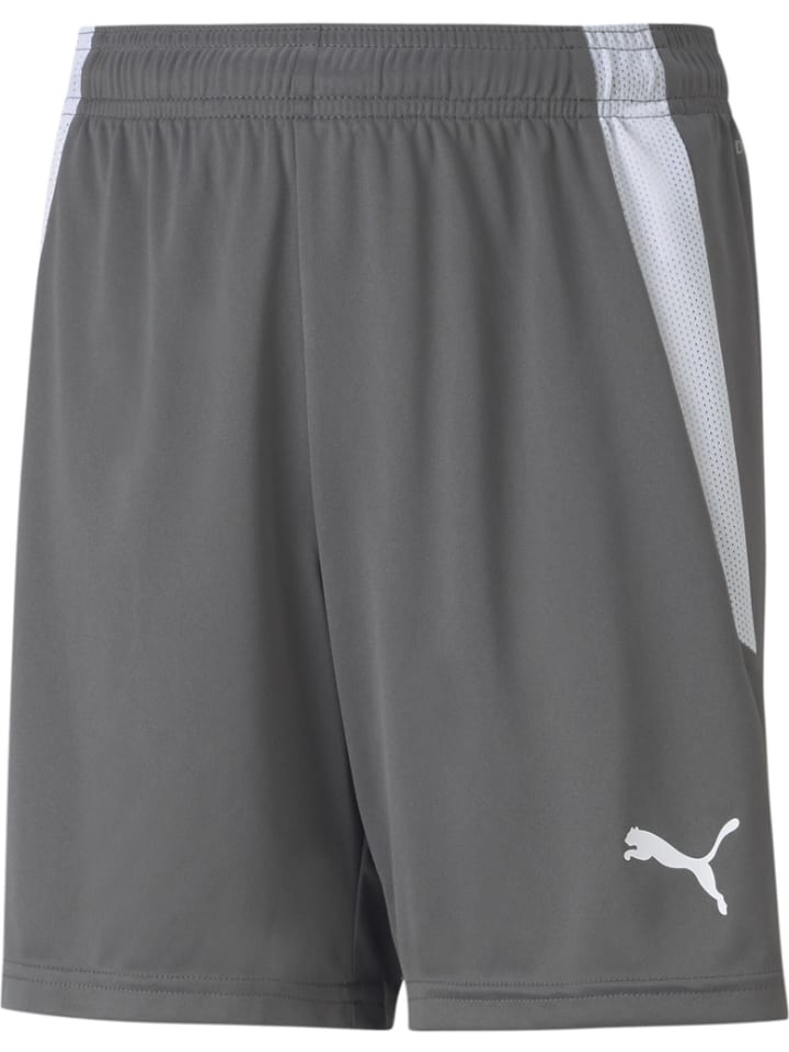 

Puma Спортивные штаны “TeamLIGA Shorts Jr” серого цвета