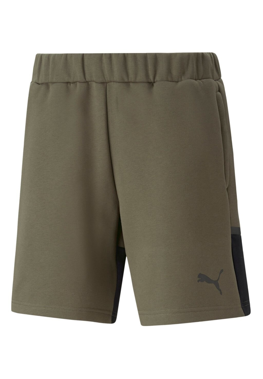 

TEAMSPORT Fussball Puma, TEAMCUP CASUALS Спортивные шорты зеленый