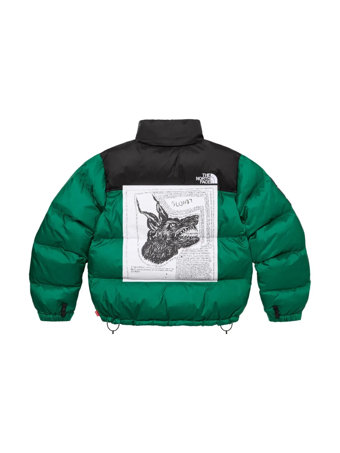 Куртка-пуховик Nuptse от The North Face Supreme, лесной зеленый / черный / белый — фото 2