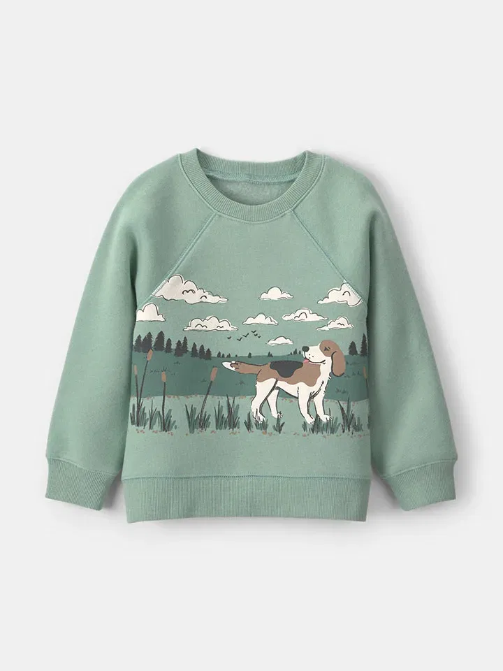 Свитшот зеленый Carter'S, зеленый