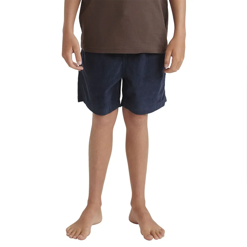 Шорты вельветовые Taxer Quiksilver, синий