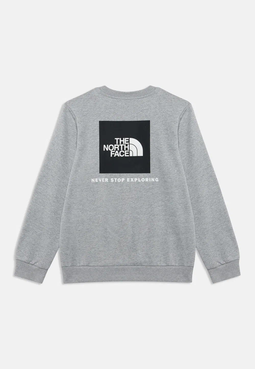 Толстовка унисекс Teen evolution box The North Face, Pale Grey Heather — фото 2