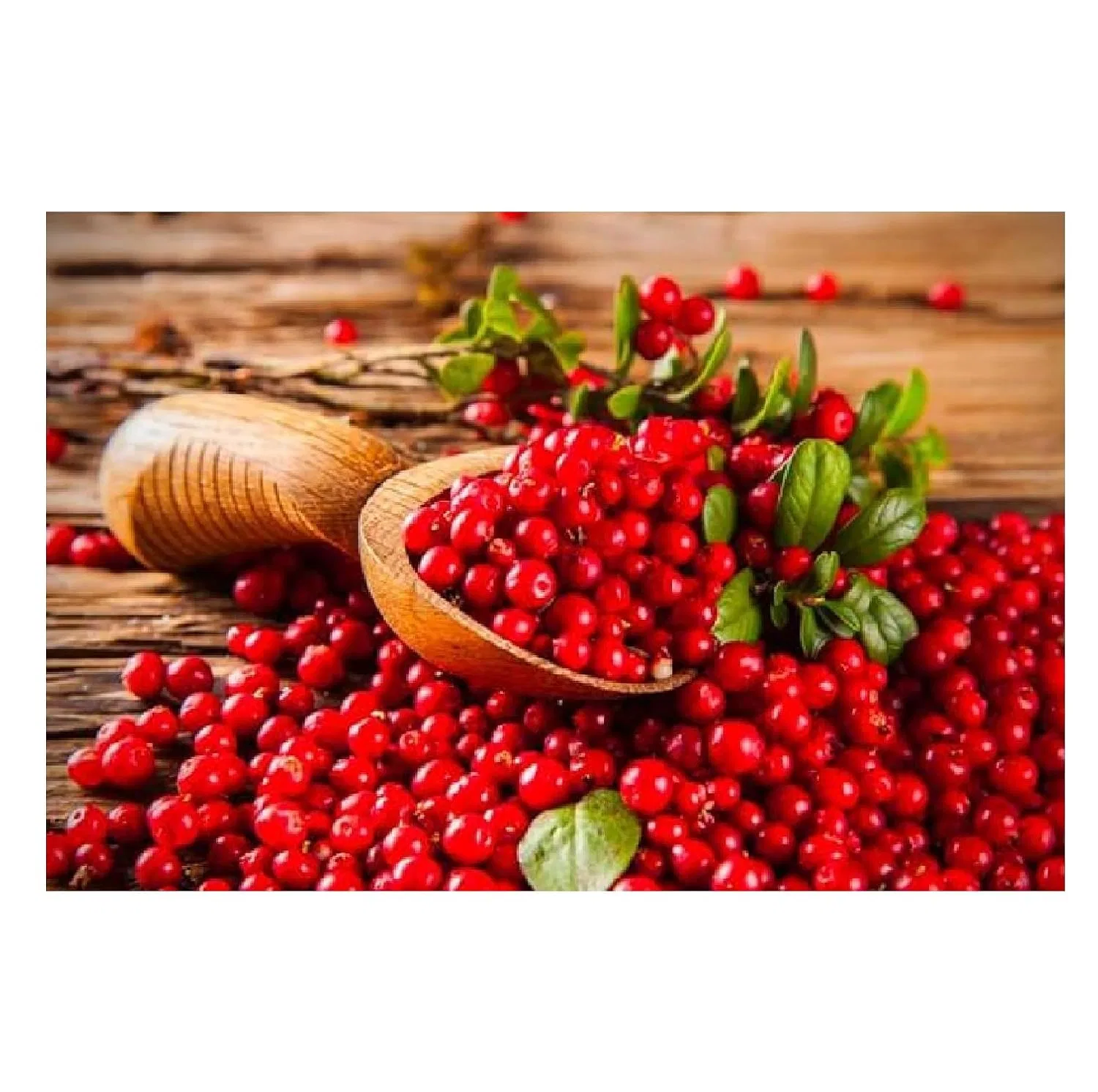 Гель для душа Goji Berry Cranberry, Italian Gourmet E.R., 12x500 мл, 400 г — фото 4